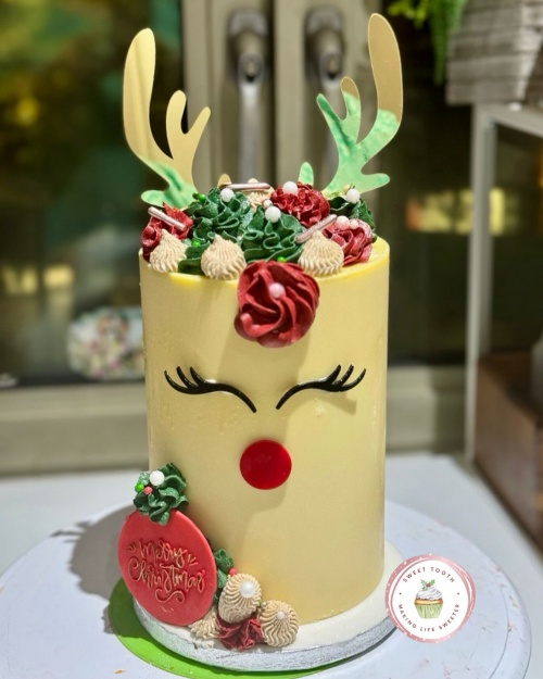 Mini Rudolph cake